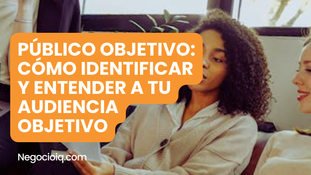 Público objetivo: Cómo Identificar y Entender a Tu Audiencia Objetivo