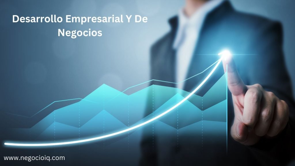 Desarrollo Empresarial Y De Negocios