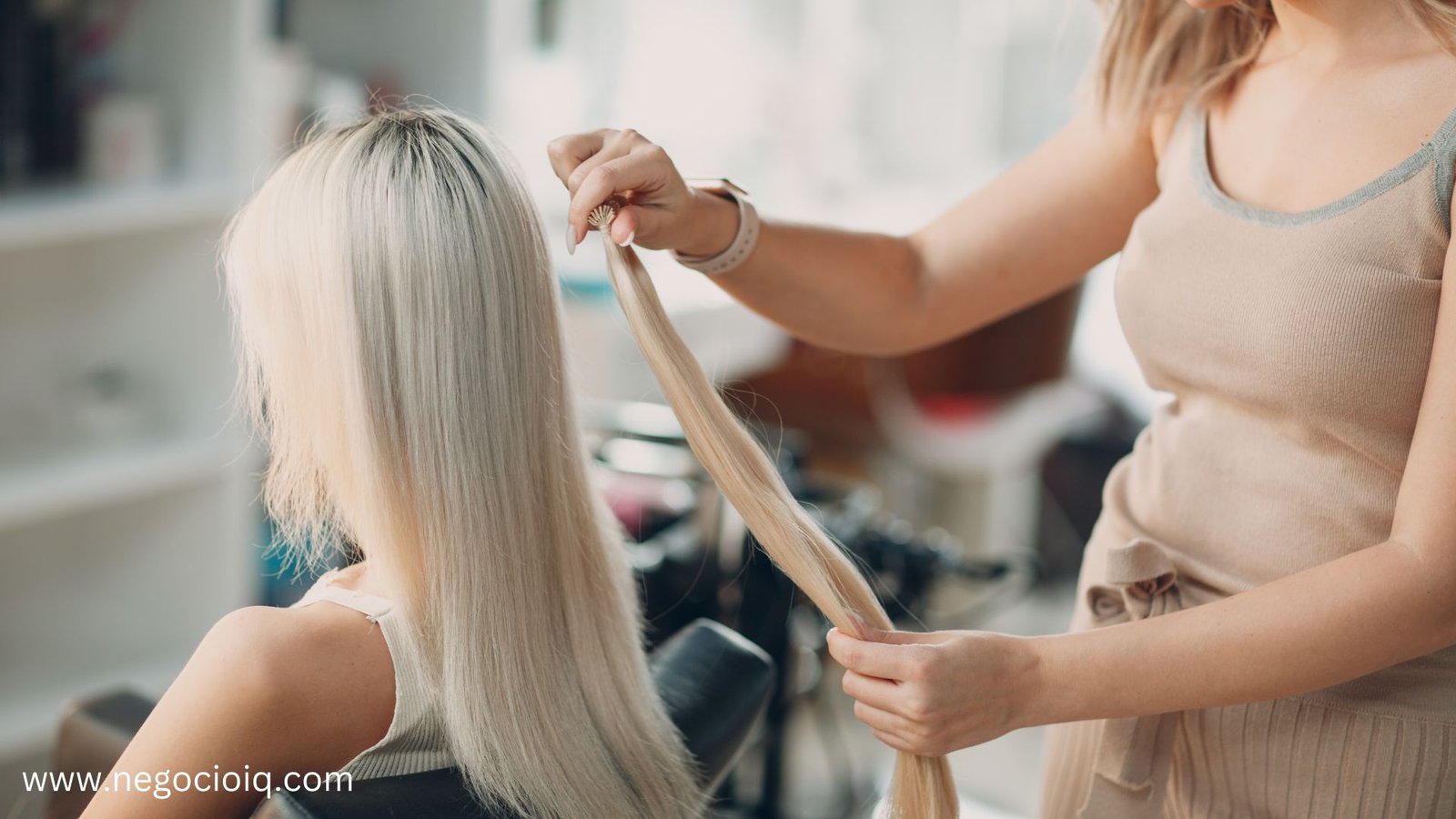 Negocio De Extensiones De Cabello