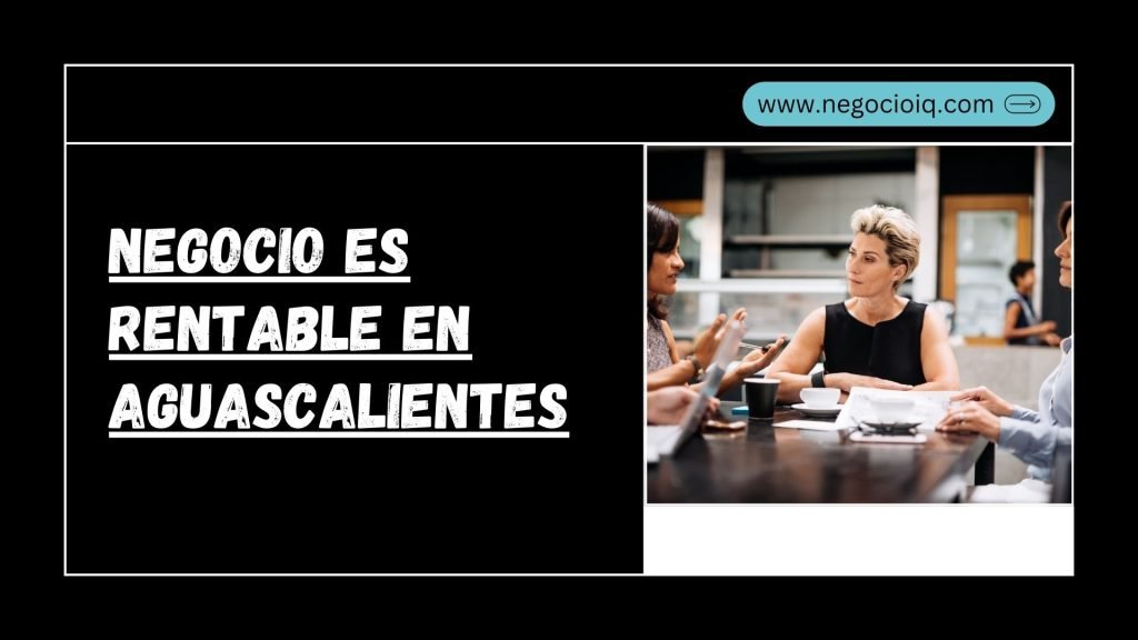 Negocio Es Rentable En Aguascalientes