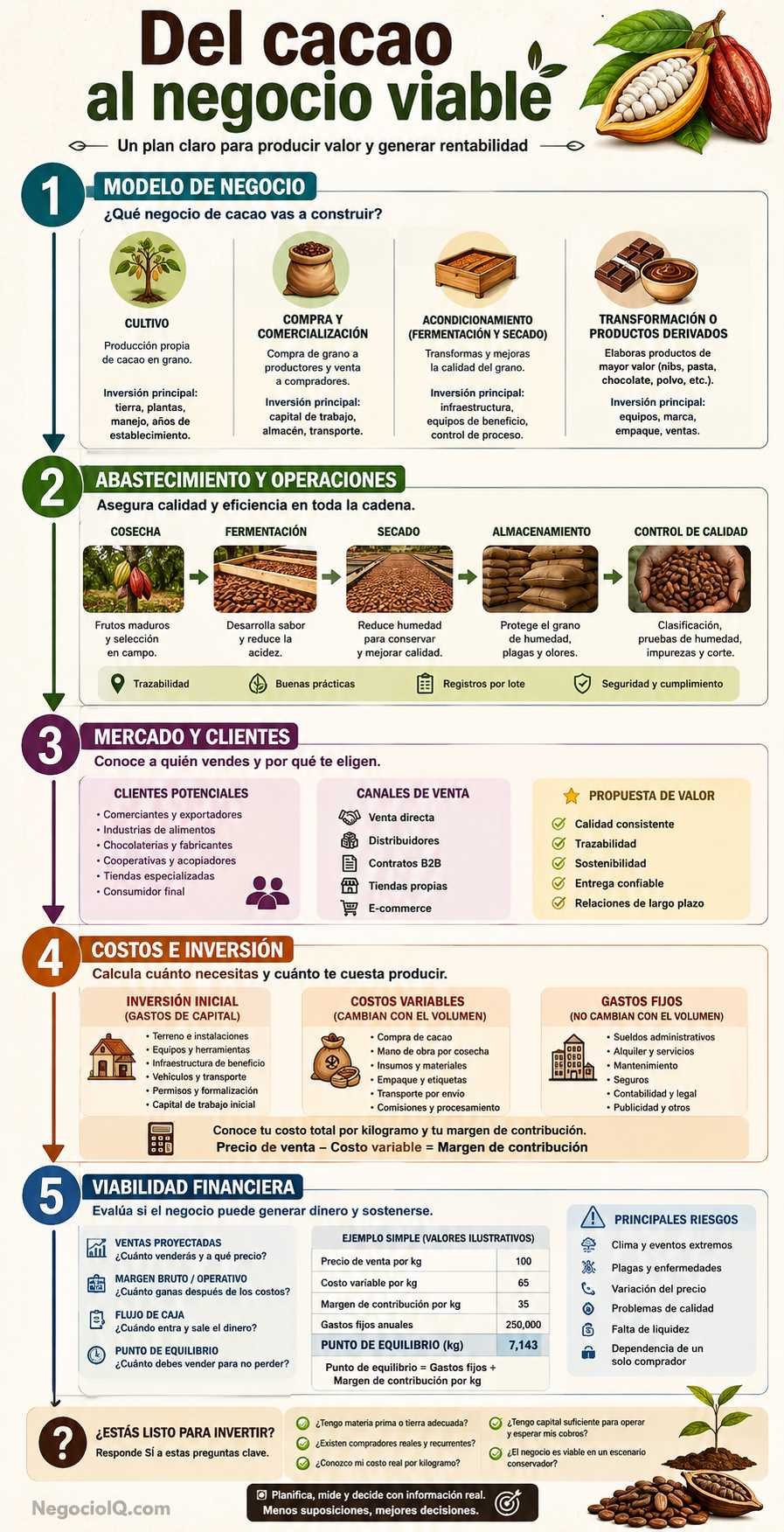 Cómo crear un plan de negocio de cacao rentable y realista 2 Etapas de un plan de negocio de cacao viable