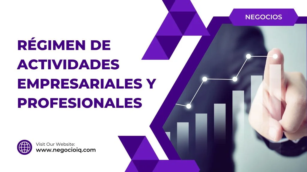 Ejemplo del régimen de actividades empresariales y profesionales en un negocio real